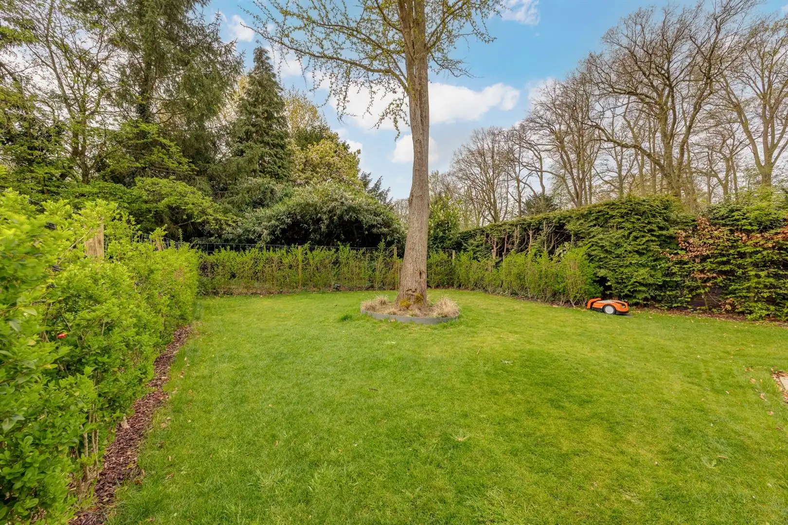 Luxewoning met tuin en privébos foto 27