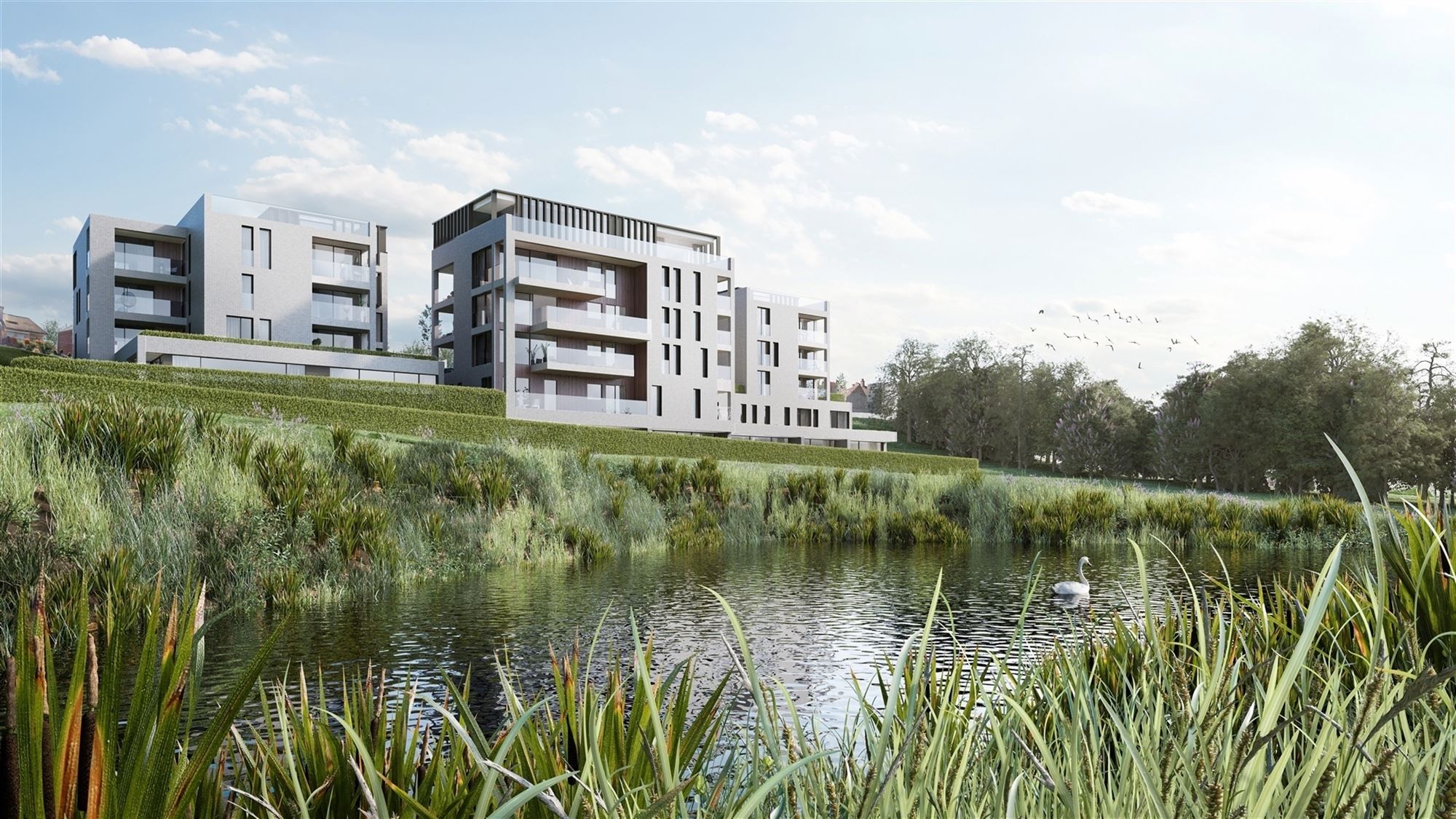 Nieuwbouw appartement in de natuur, vlak bij Liedekerke foto {{pictureIndex}}