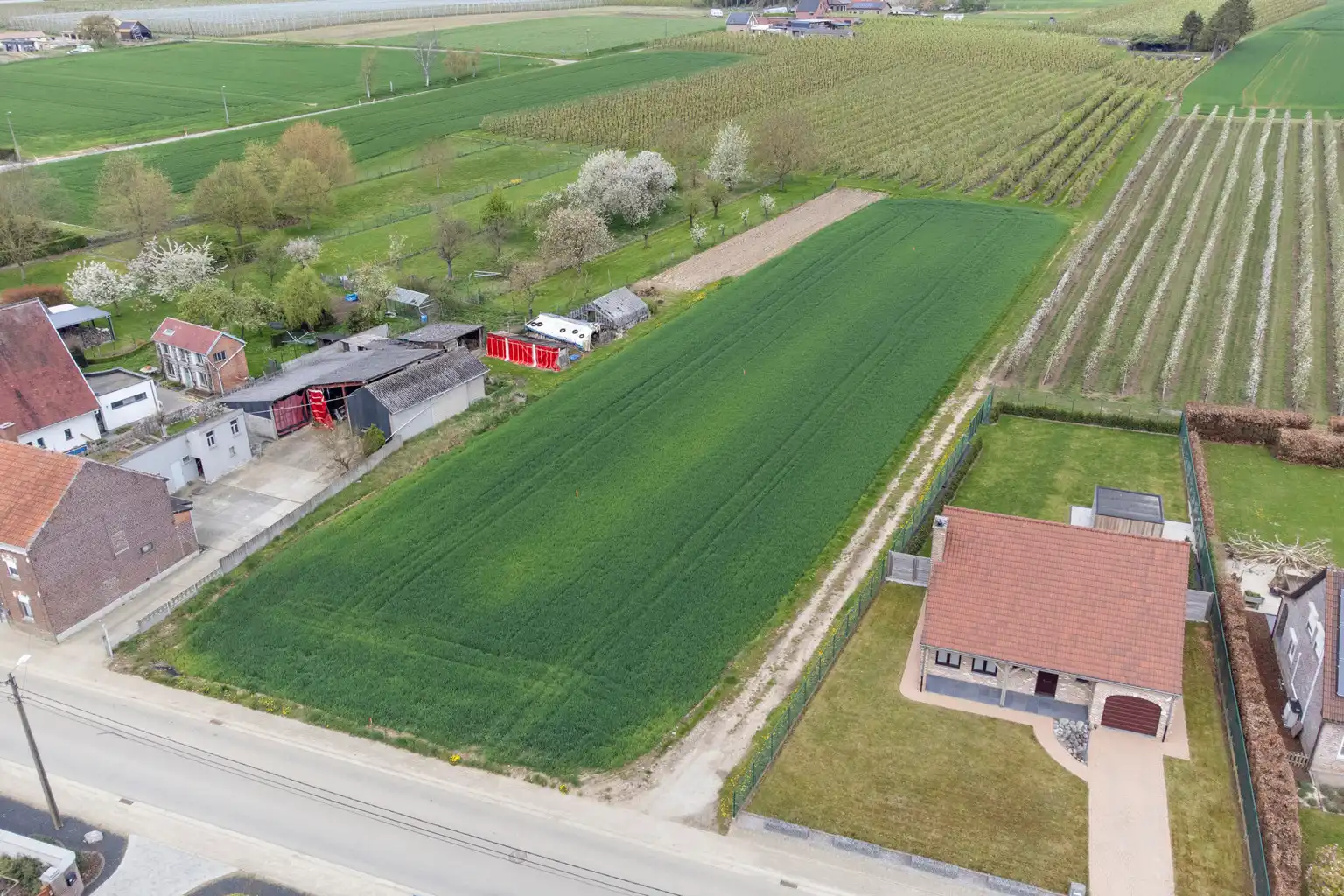 MOOI GELEGEN BOUWGRONDEN IN GLABBEEK (LOT2) foto 5