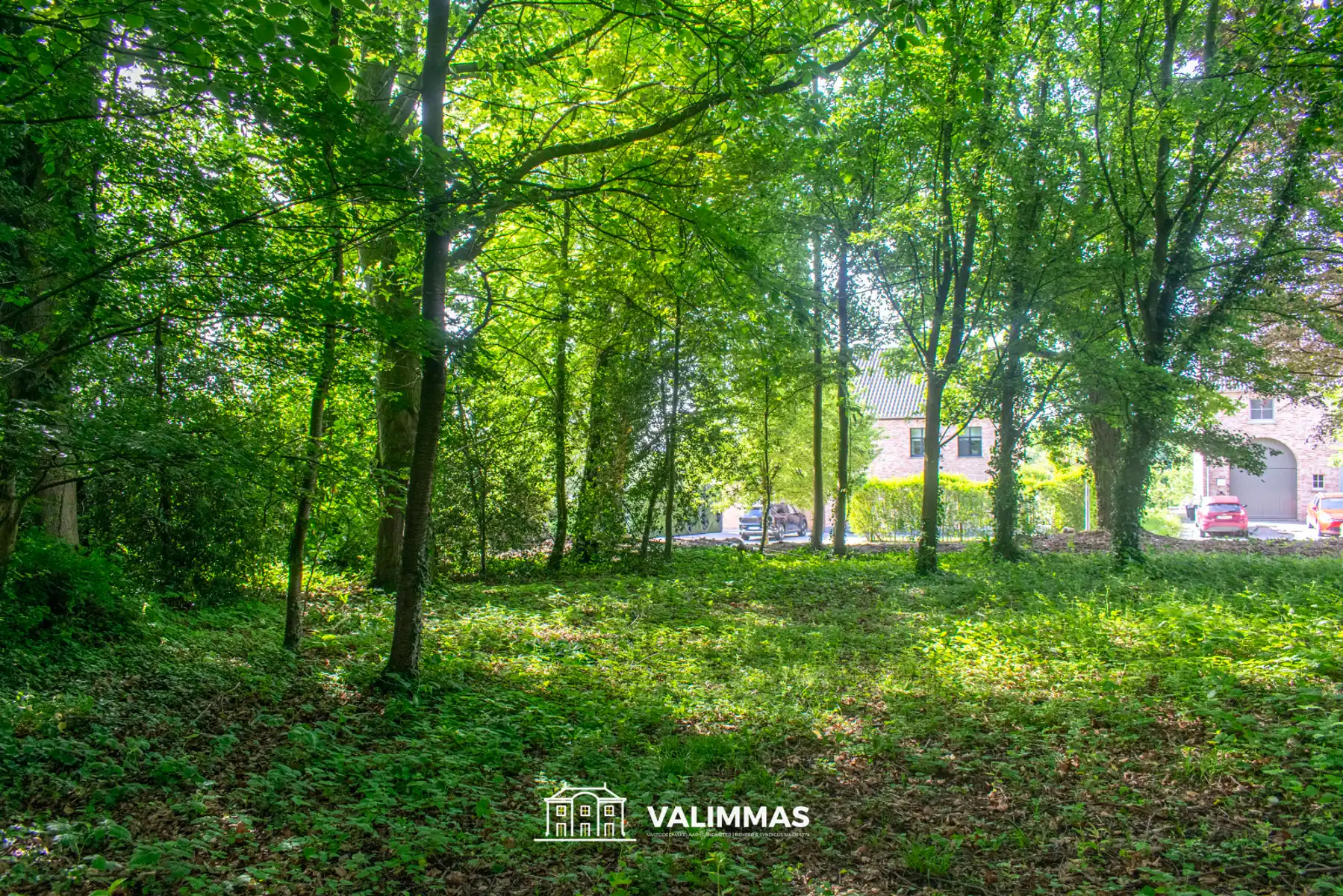 Centrum Asse: residentieel en rustig gelegen villagrond... foto 5