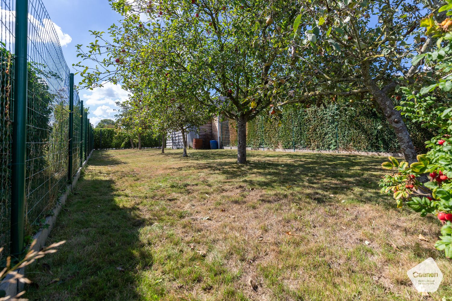 VRIJSTAANDE LANDELIJKE GELEGEN TE RENOVEREN WONING met 3 slaapkamers en MOOI PERCEEL VAN 980 m² foto 2