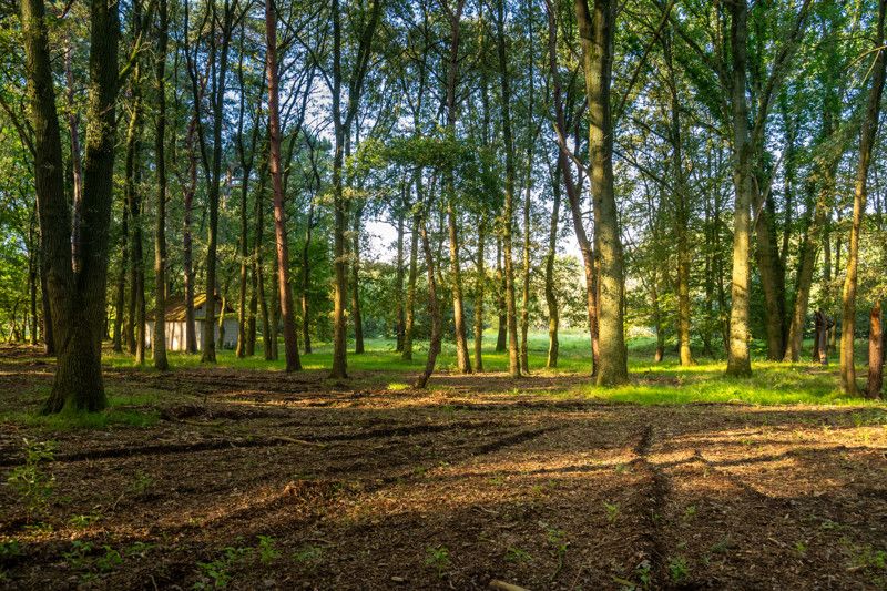 Uniek gelegen renovatieproject op 1,8 ha foto 16