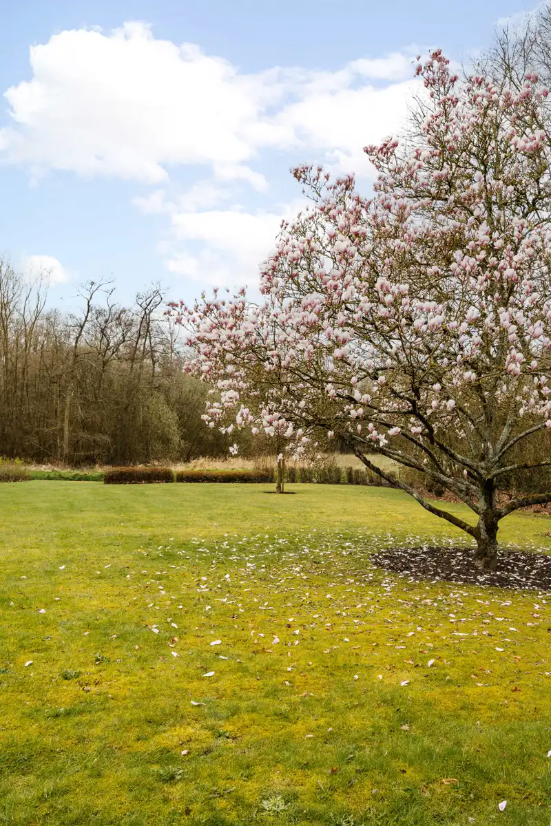 Landhuis vol potentieel bij natuurgebied foto 27
