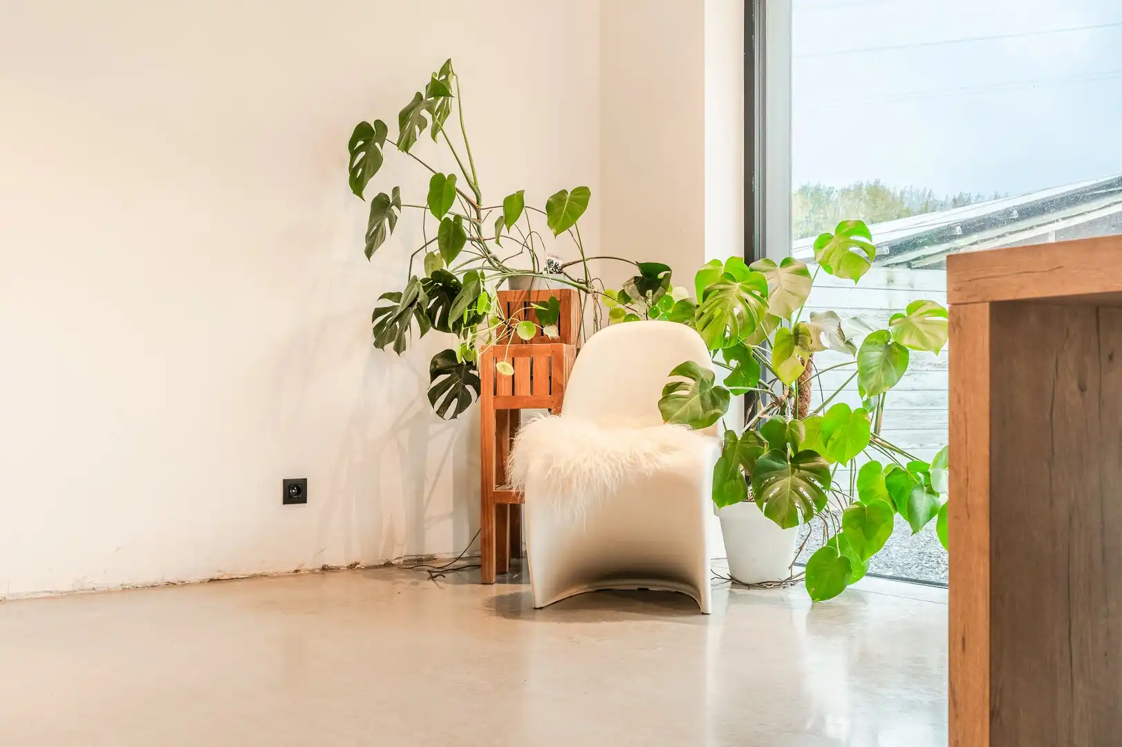 Moderne, energiezuinige woning op 1021 m² vlak bij het Zeekanaal foto 8