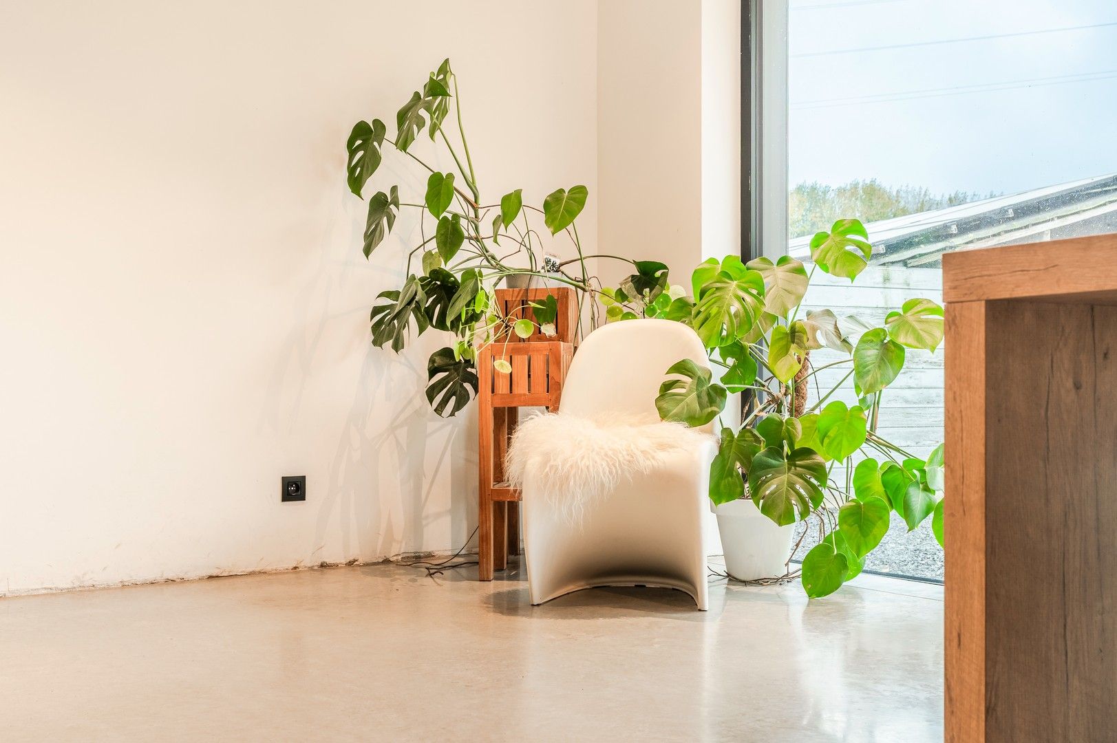 Moderne, energiezuinige woning op 1021 m² vlak bij het Zeekanaal foto 8