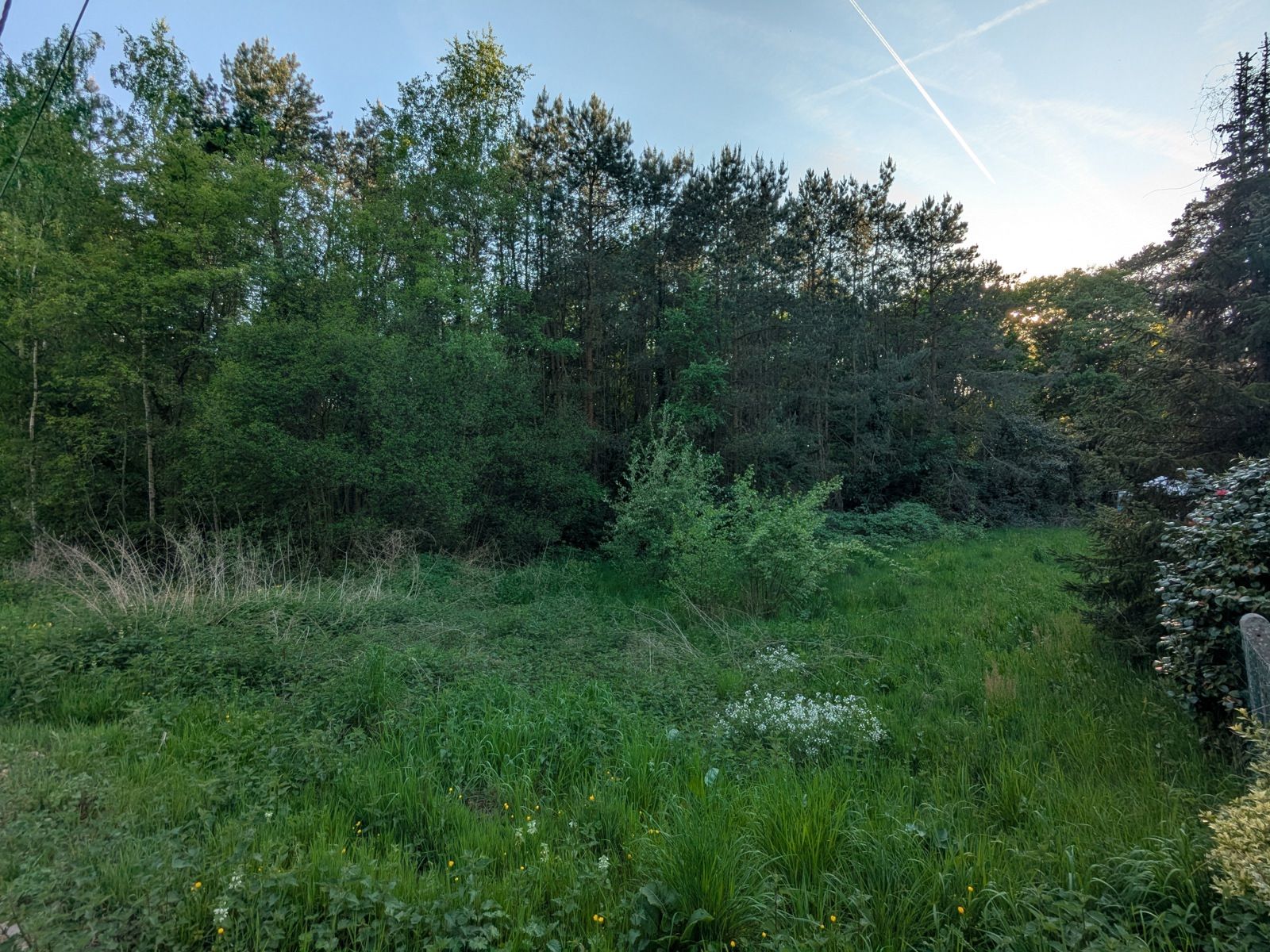 Perceel op zichtlocatie in recreatiegebied + tweede te koop foto 4