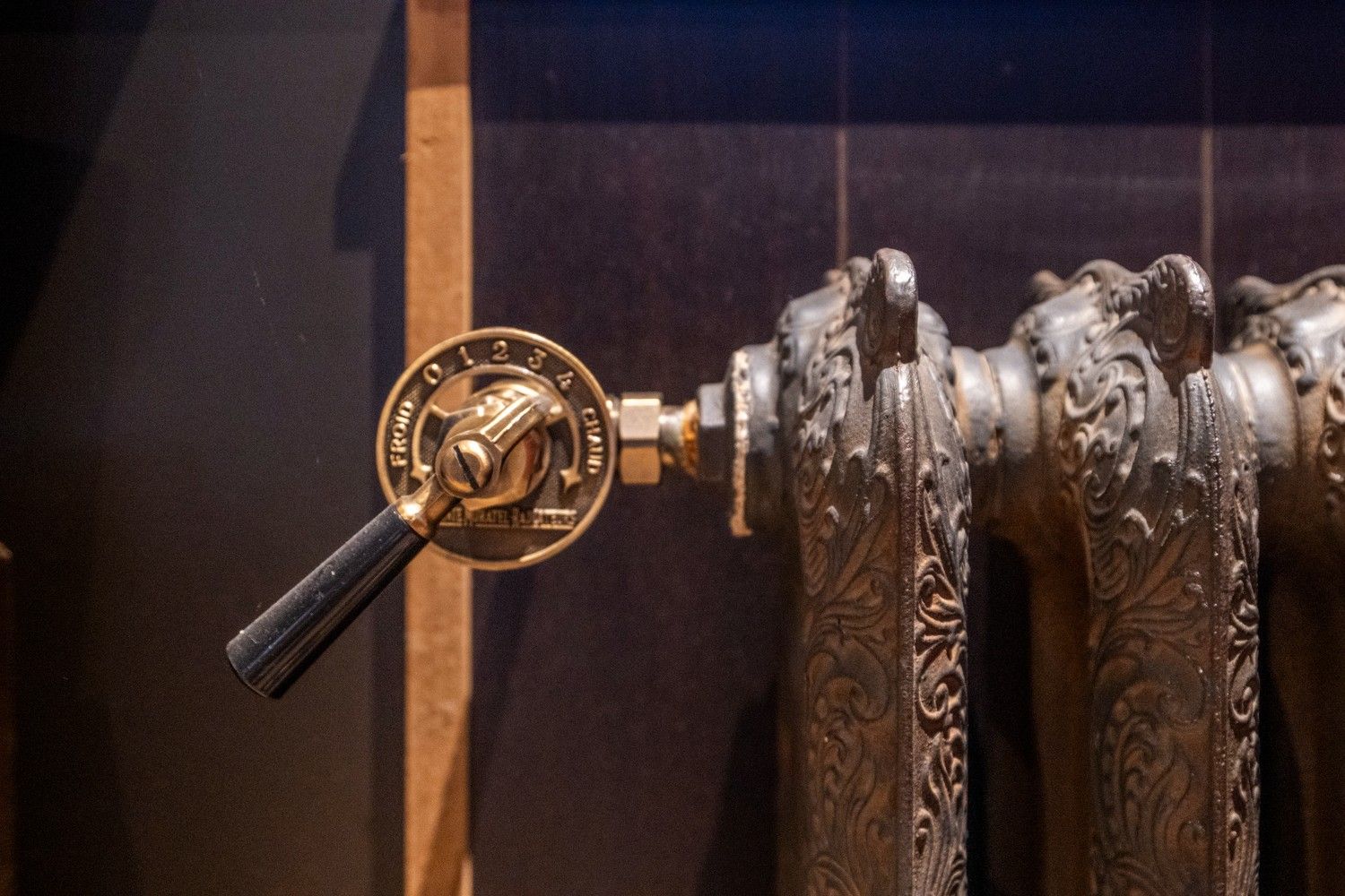 PRACHTVILLA MET ZICHT OP GROEN foto 12