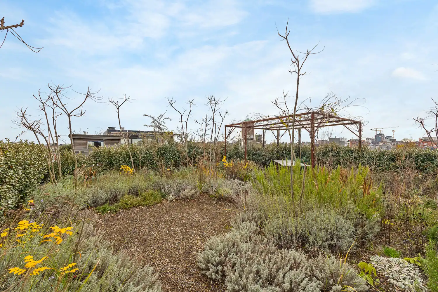Uitzonderlijke loft 200m² + aangelegde daktuin, terras en 2 optionele garages in rustig, groen woonerf op de grens Borgerhout/Antwerpen foto 26