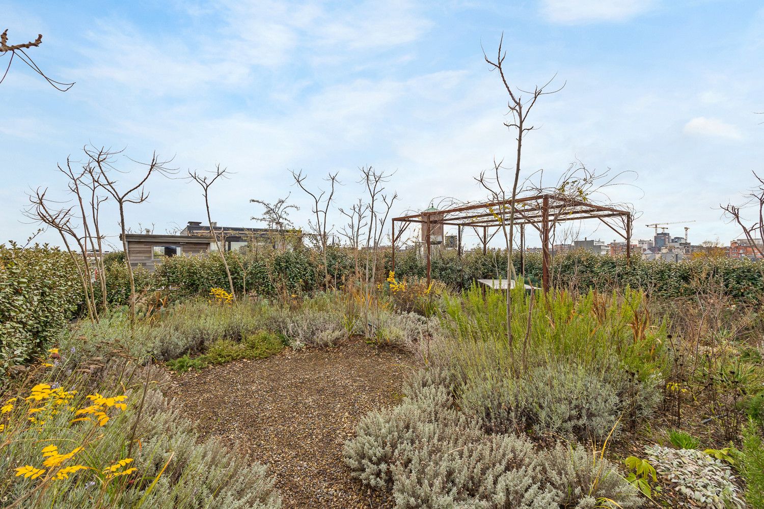 Uitzonderlijke loft 200m² + aangelegde daktuin, terras en 2 optionele garages in rustig, groen woonerf op de grens Borgerhout/Antwerpen foto 27