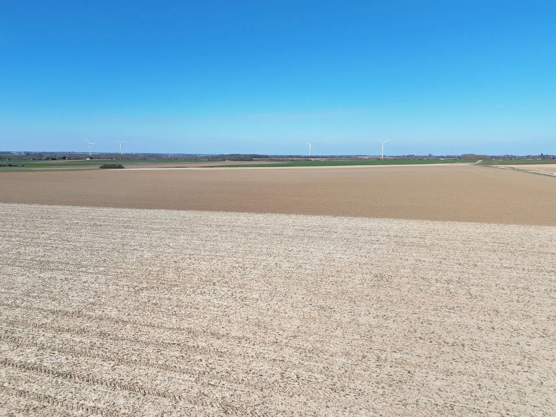 Groot perceel landbouwgrond - BLOK A foto 6