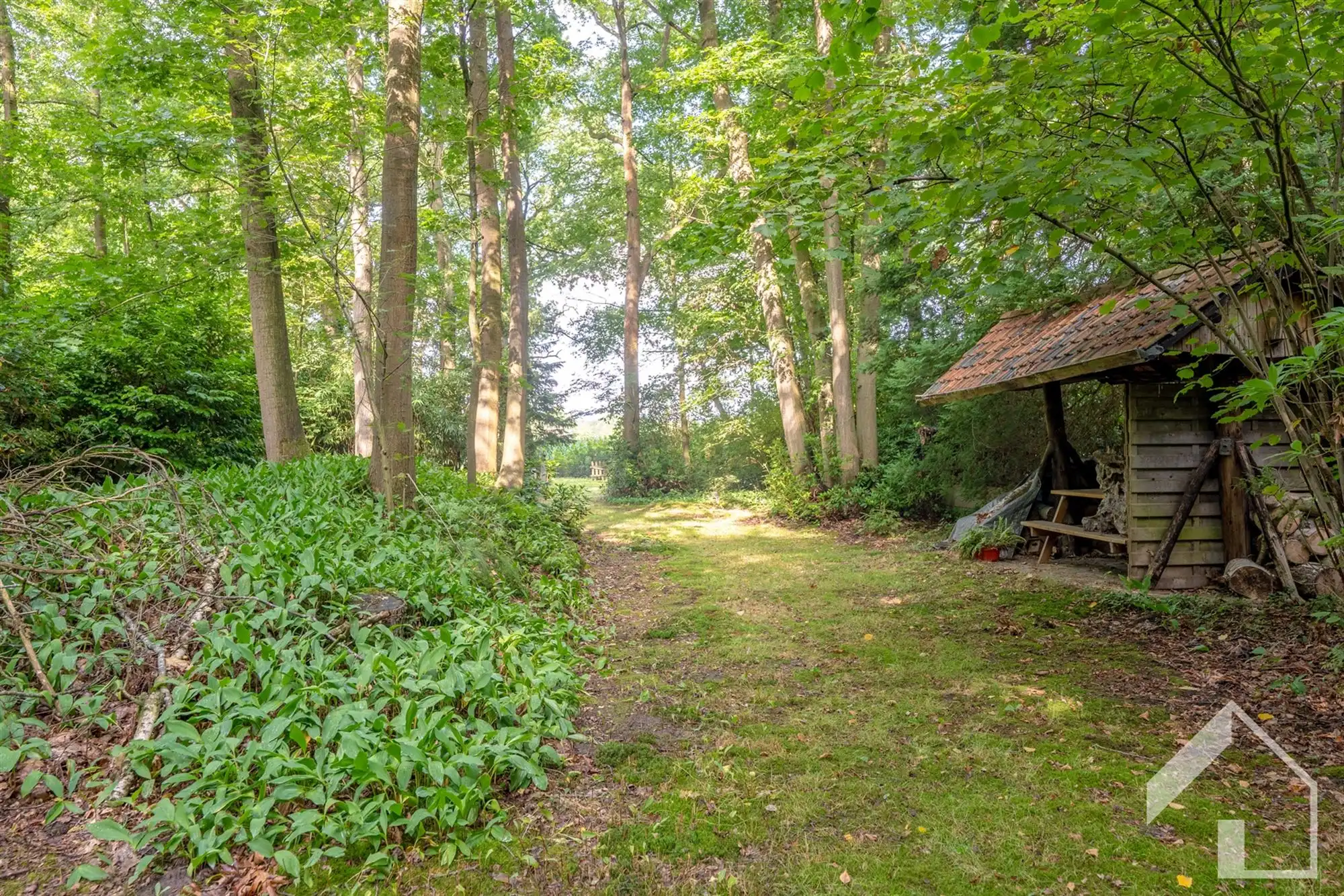 Recreatiegrond in het groen foto 13