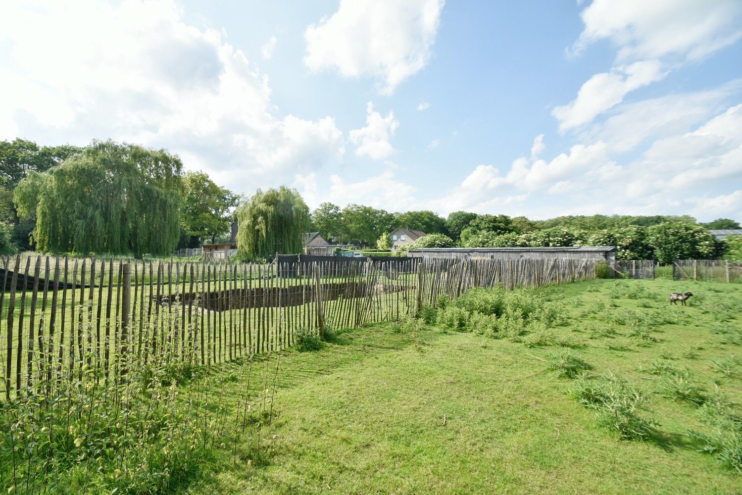 Grotendeels gemoderniseerde woning op een riant perceel gelegen aan de Zuid-Willemsvaart te Maasmechelen foto 7