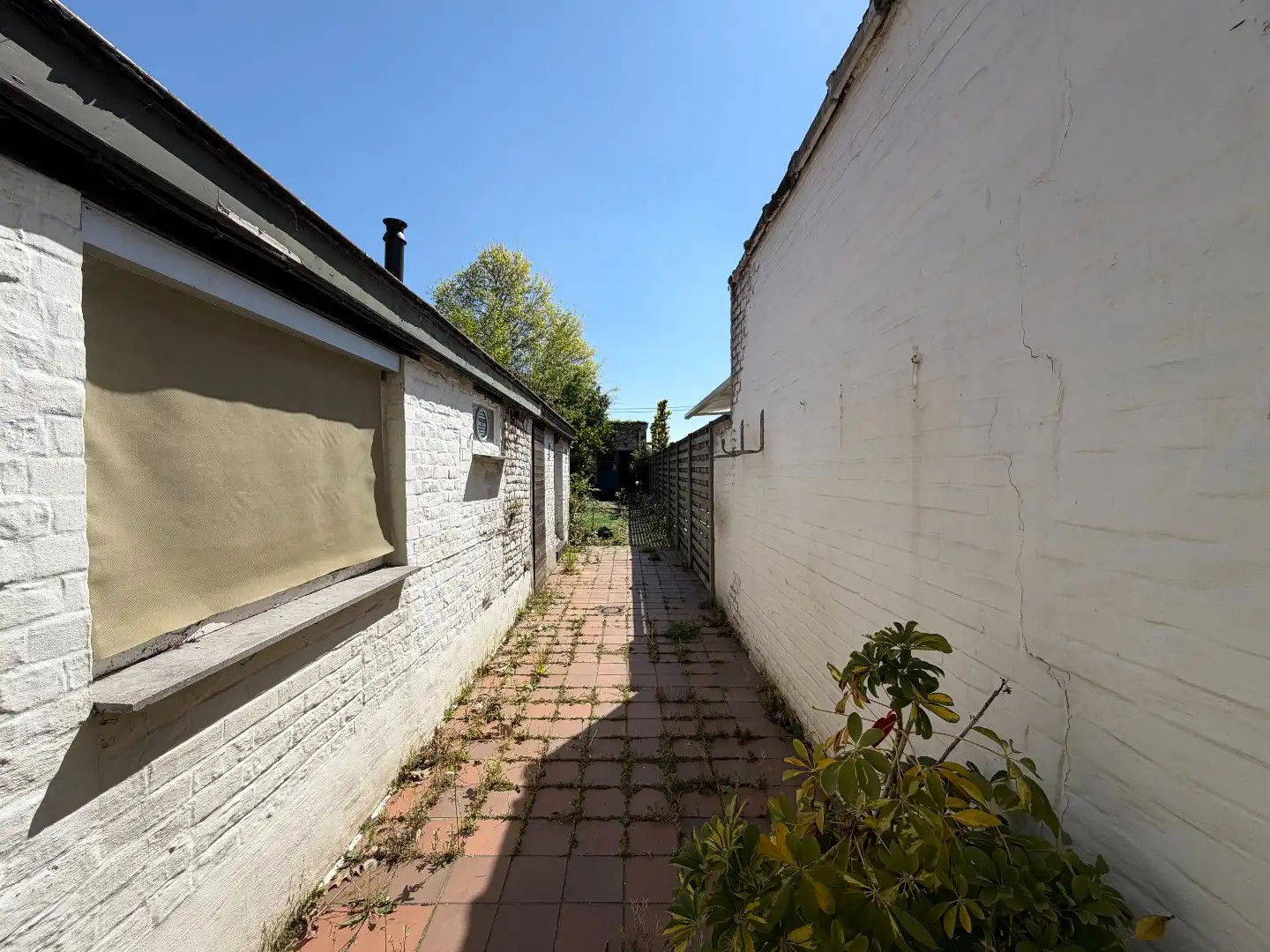 Te renoveren woning met tal van mogelijkheden en ruime opslagplaats (65,5 m²) te koop in Bissegem foto 5