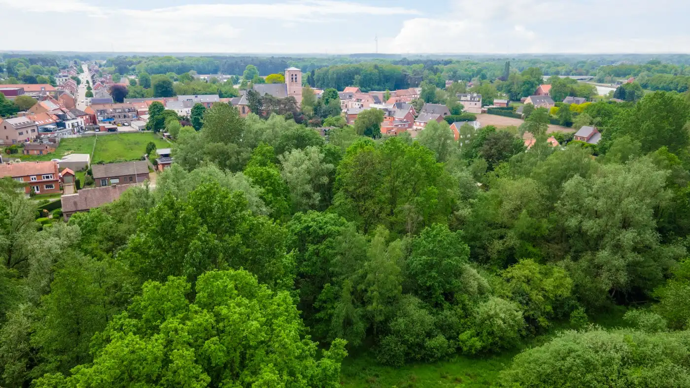 Rustig gelegen bouwgrond van 800m² voor HOB in Olmen foto 15