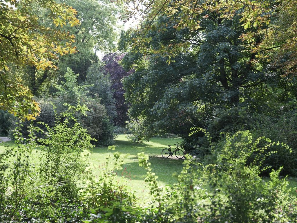 Hoekappartement met uniek zicht over het Zuidpark op de 7de verdieping foto 12