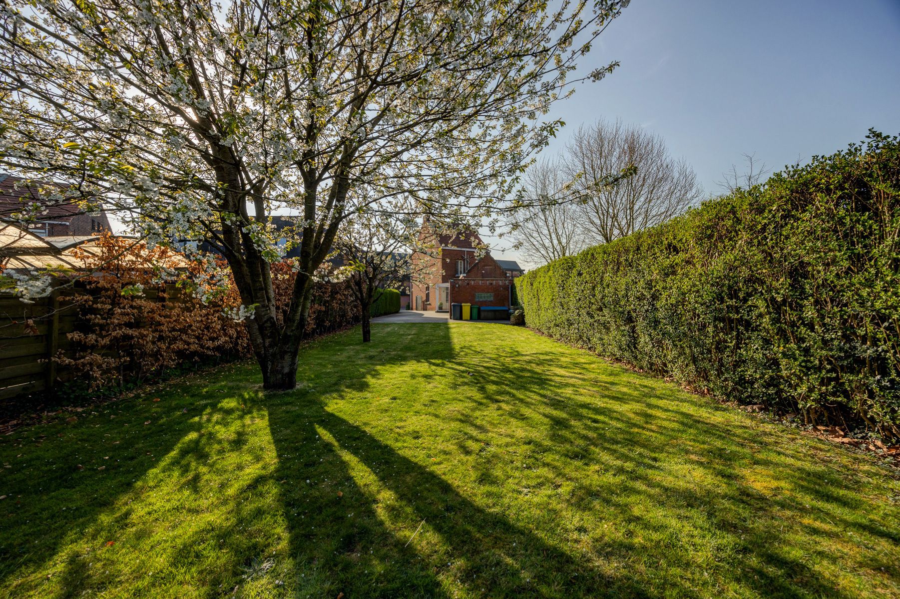 IN OPTIE. Gezinswoning met 4 slpks en tuin in Rijkevorsel 674m2 grond foto 37