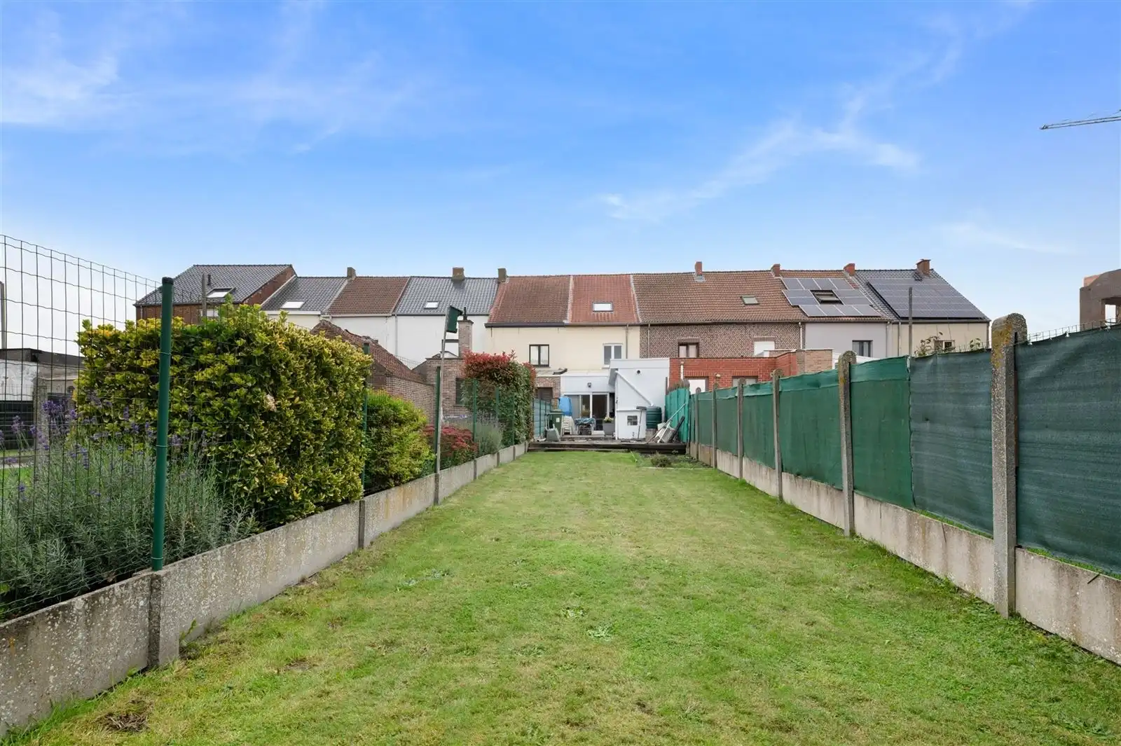 OPTIE foto {{pictureIndex}}