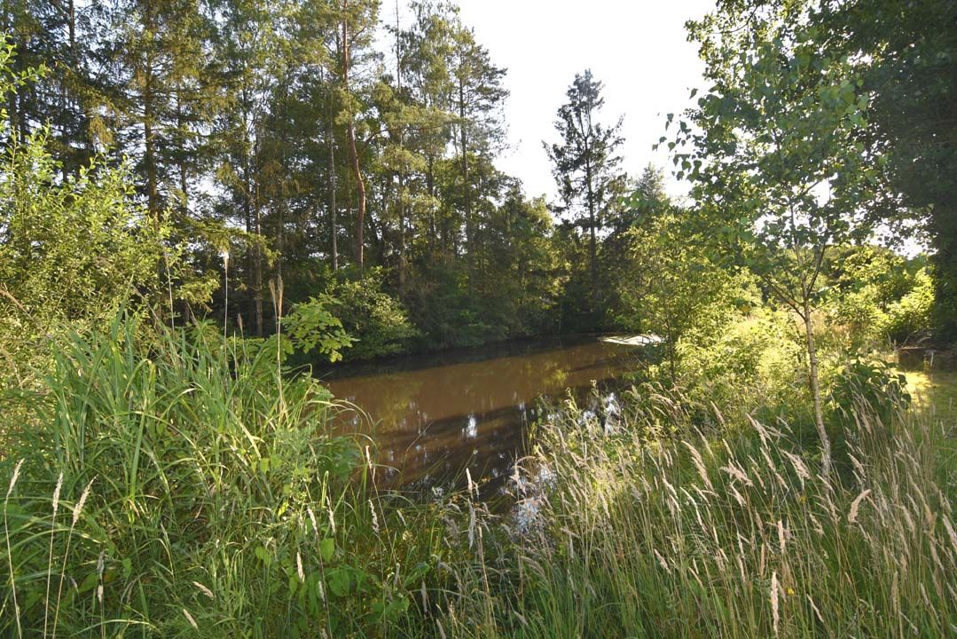 Recreatiegrond met 2 vijvers foto {{pictureIndex}}