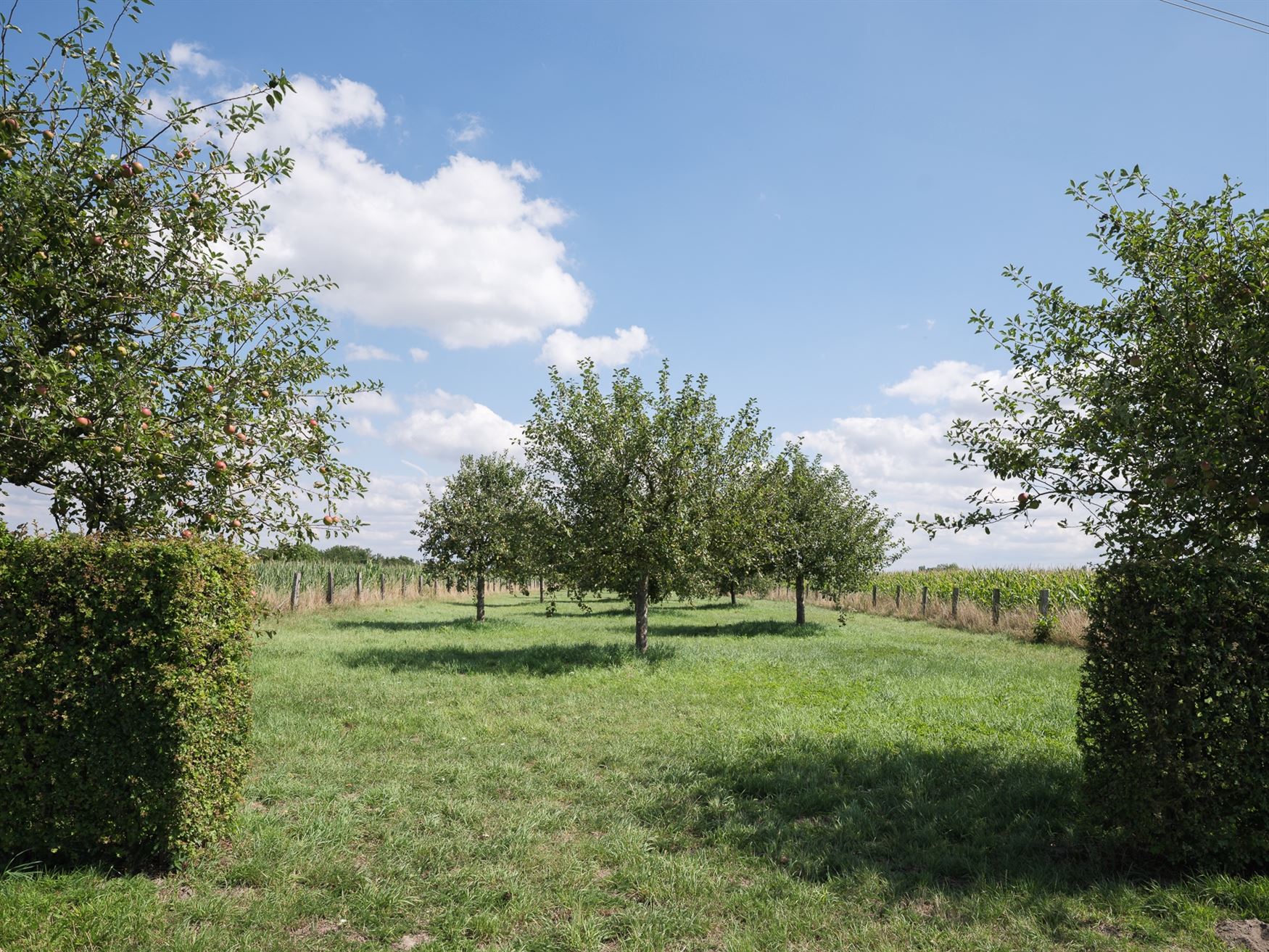 Karaktervolle hoeve met stijl en privacy foto 8