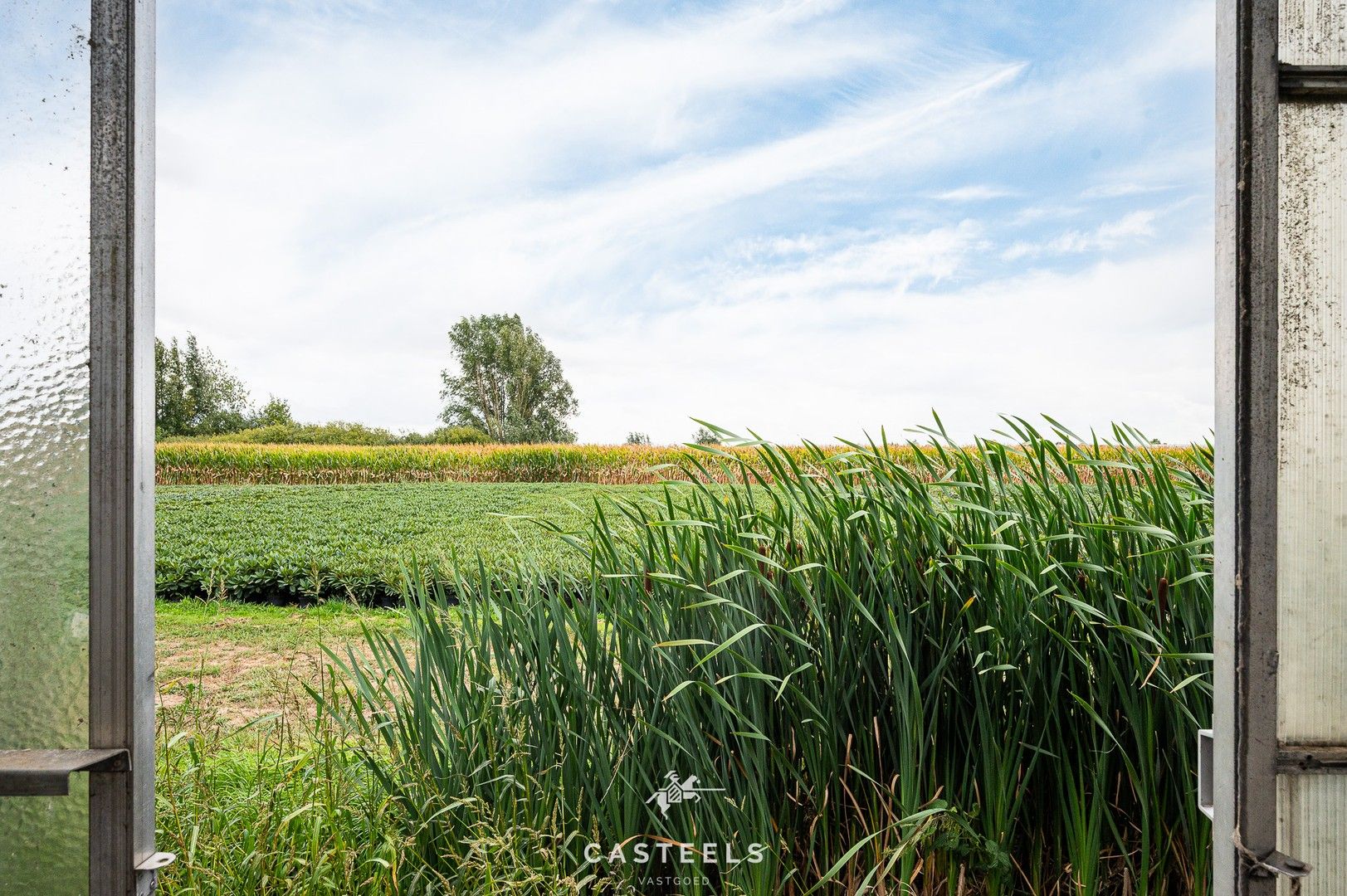 Uitzonderlijke tuinbouwsite in hartje Lochristi foto 10