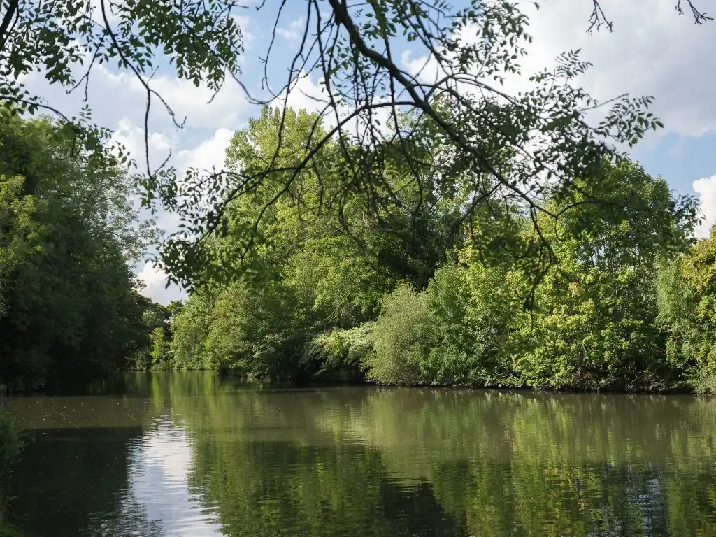 Vrijstaande villa (te renoveren) op slechts 50 meter van de Leie foto 2