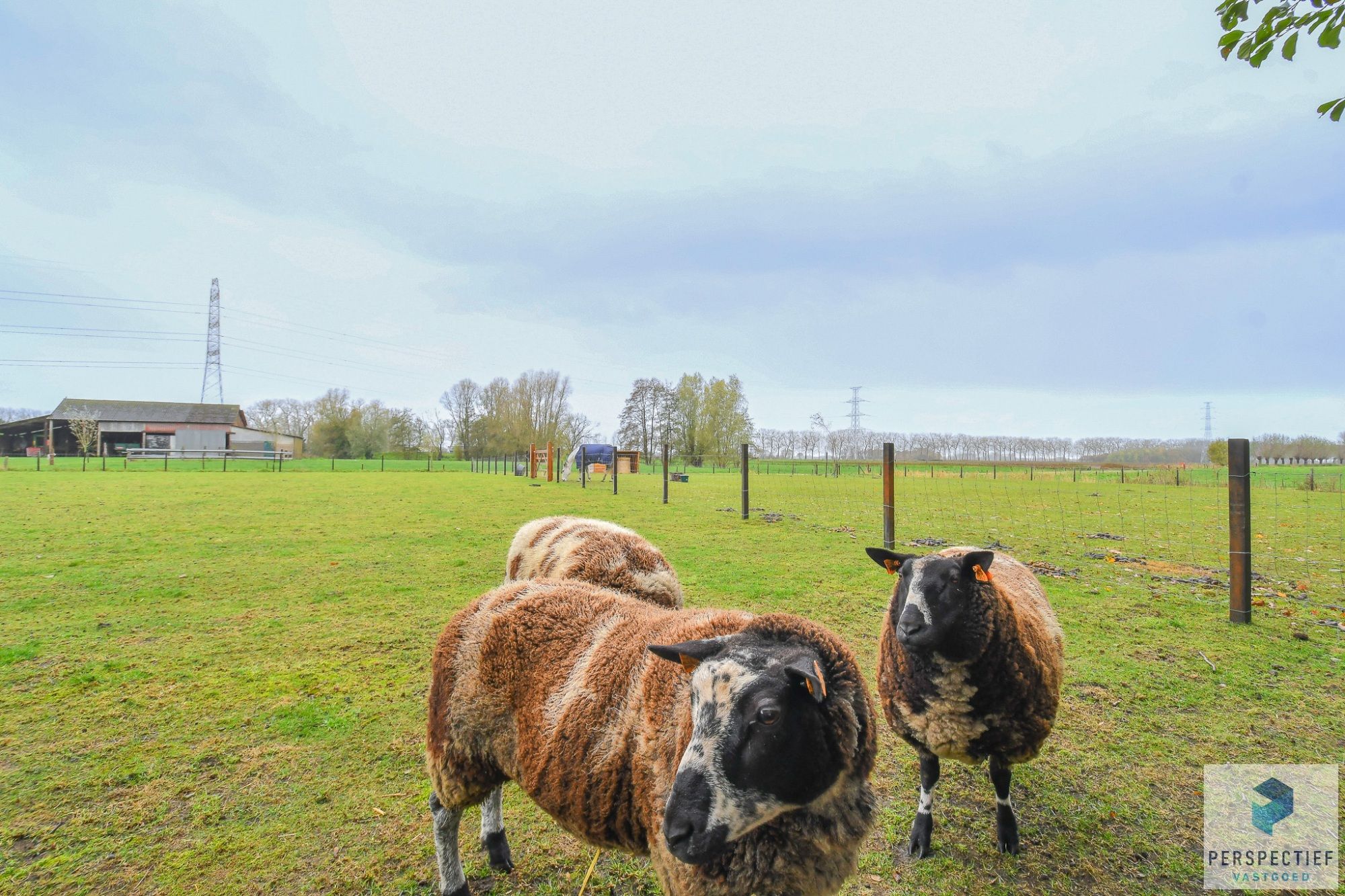 BEZOEKMOMENT WOENSDAG 3/12 VAN 15U30 TOT 17U | Landelijke woning met een magazijn, schuur en weide op 10 224m² foto 3