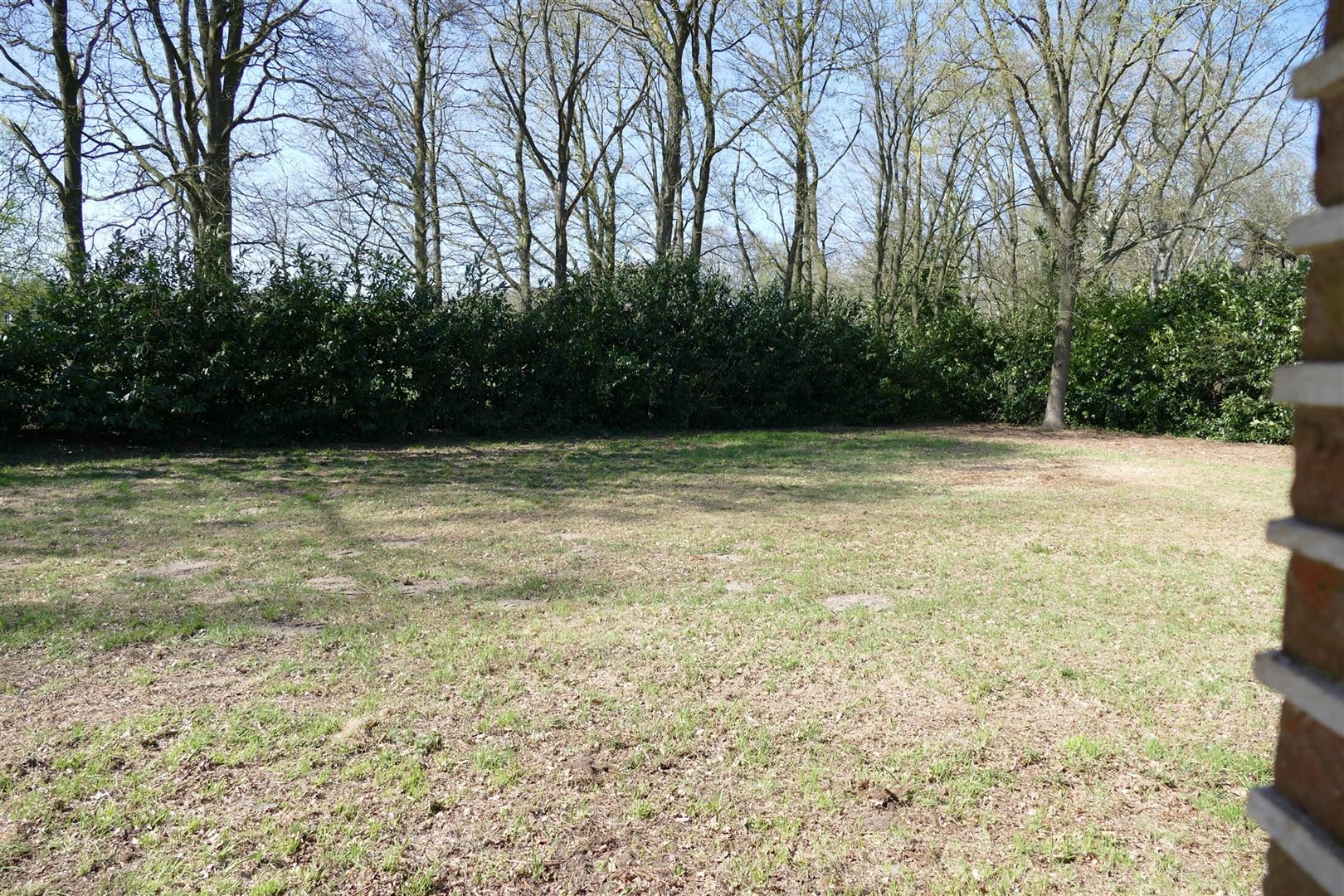 Grondig opgefriste vakantiewoning met grote tuin foto 19