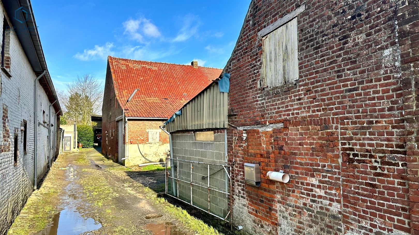 Charmante te renoveren hoeve te Galmaarden foto 3