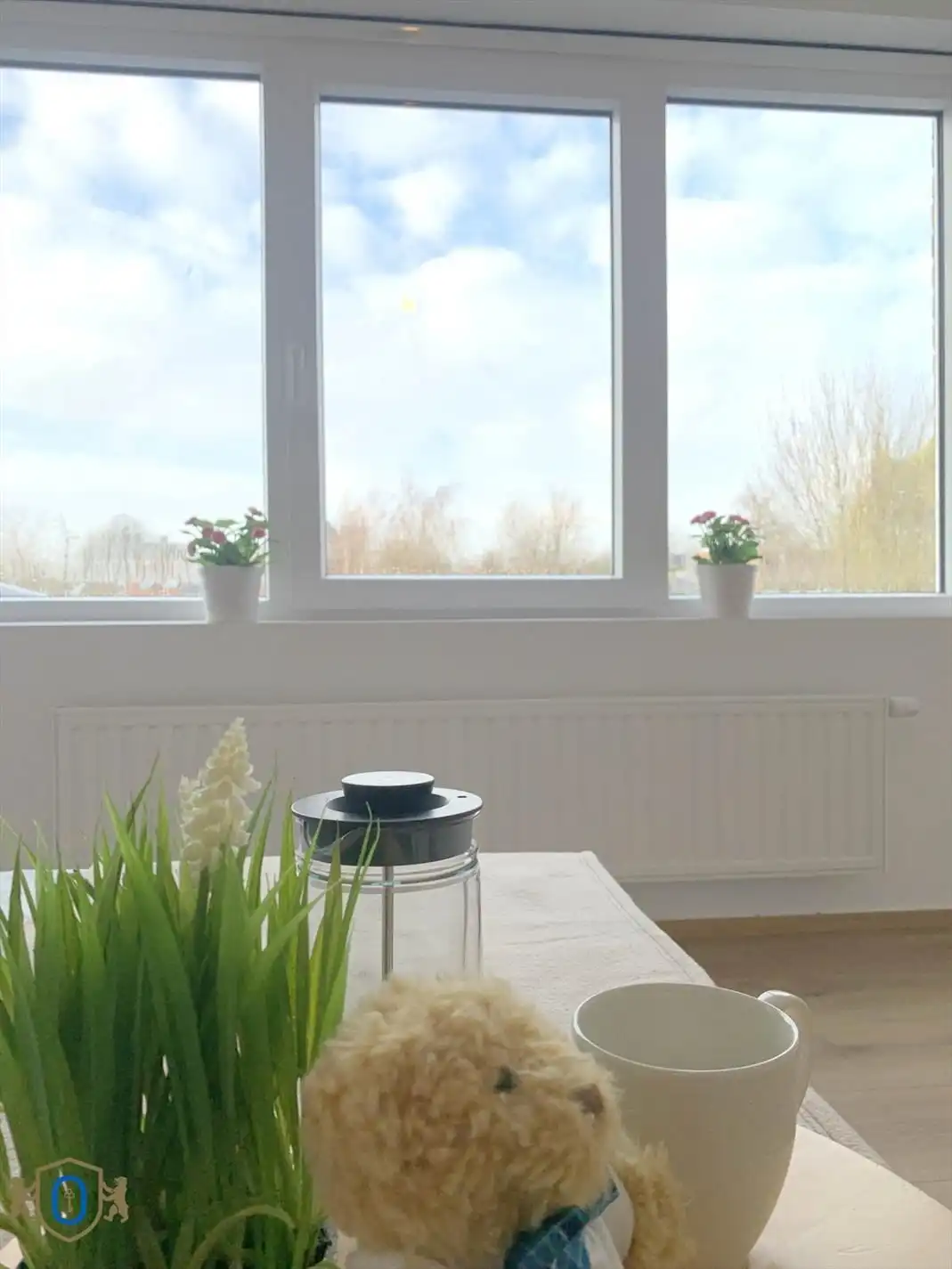3-slpkr woning met tuin foto 20