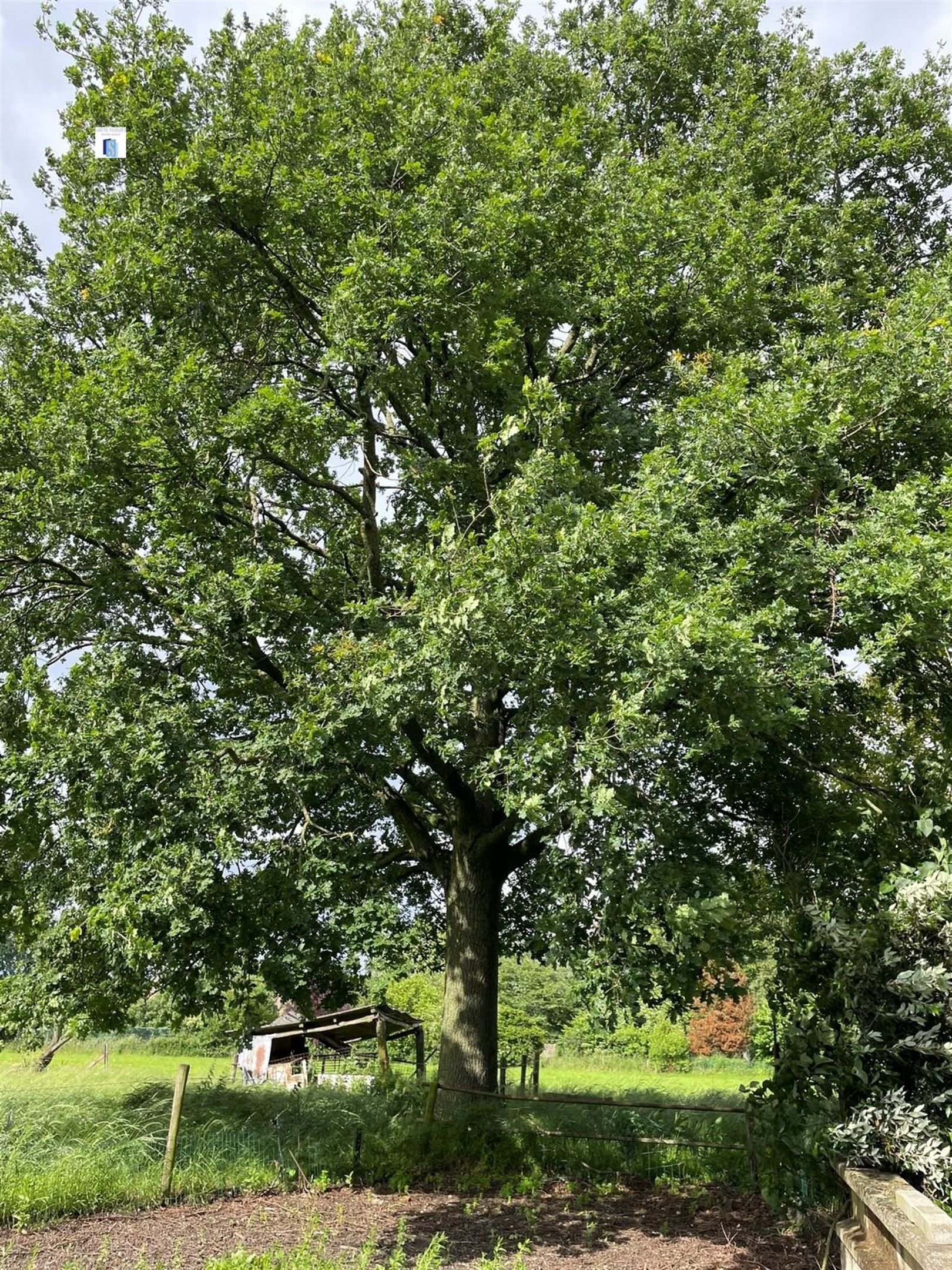 Boerderij met binnenplaats foto 4