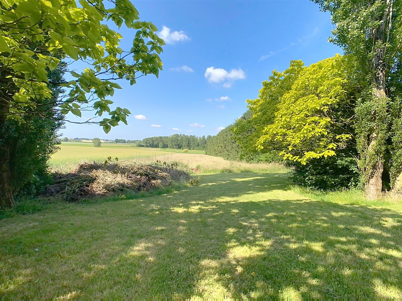 Ruime op te frissen woning, 4 slpks, tuin, weide, 46a 81ca foto 8