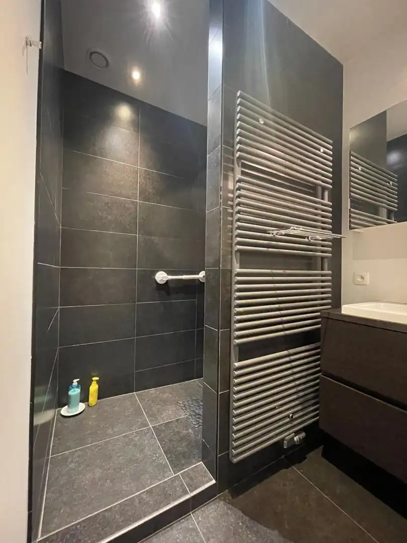 APPARTEMENT MET GROOT TERRAS foto 9