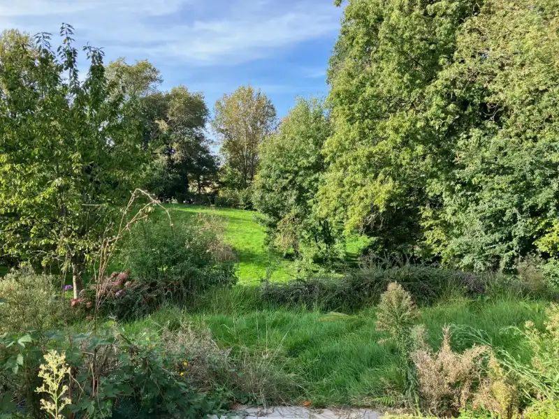 Hoevewoning met bijgebouwen met heel wat potentieel foto 11