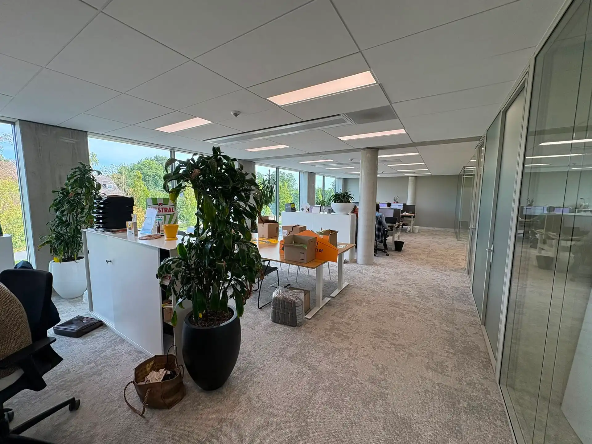 Moderne kantoorruimte 445 m² op toplocatie E17 in Lokeren foto 16