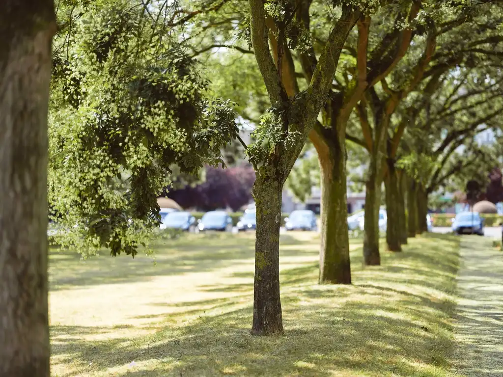 Zeldzaam aanbod - 9 studio’s en 1 appartement op een strategische ligging nabij het befaamde Miljoenenkwartier. foto 18