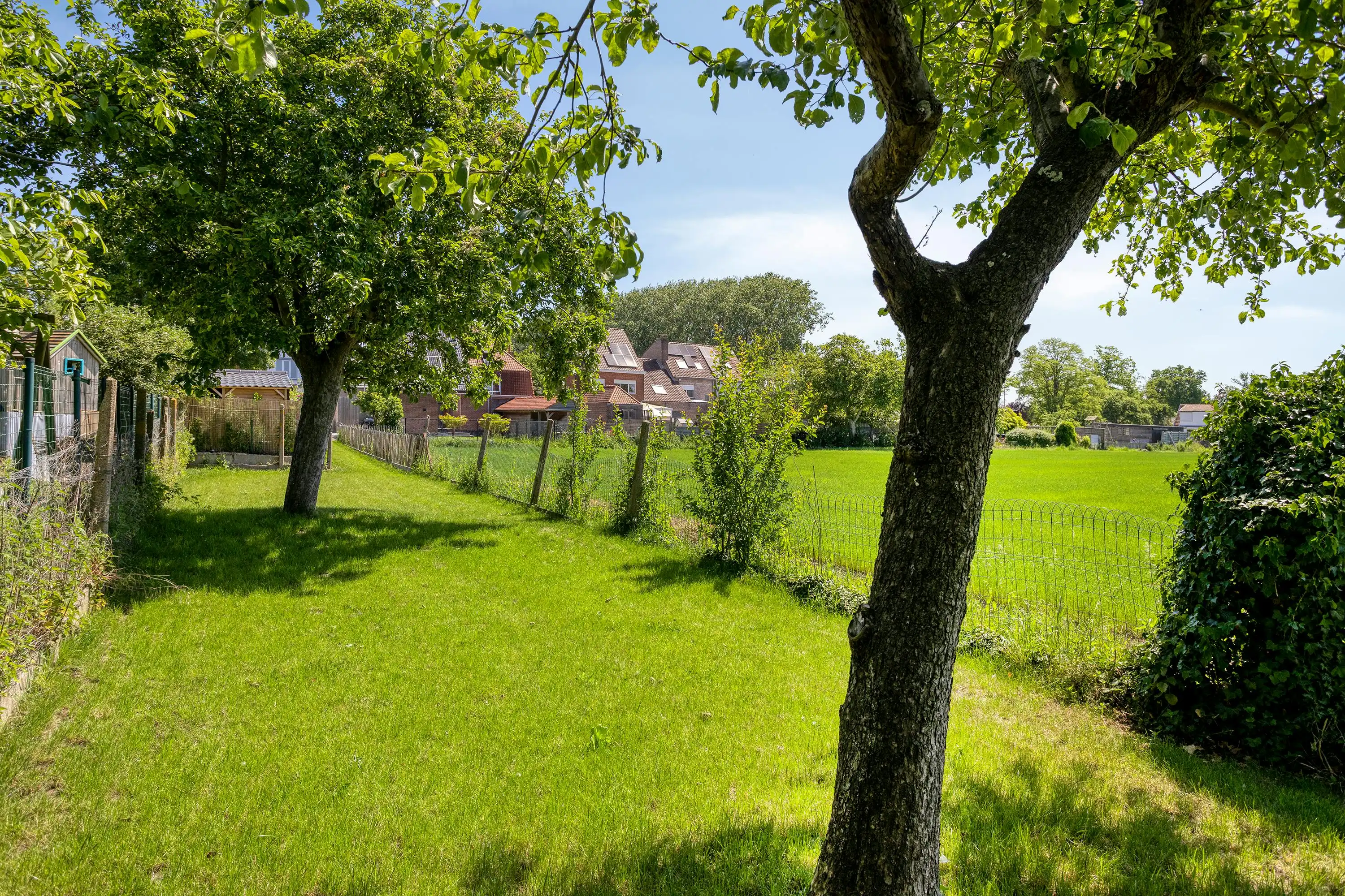 Instapklare halfopen woning te koop in Brugge met ruime tuin foto 7