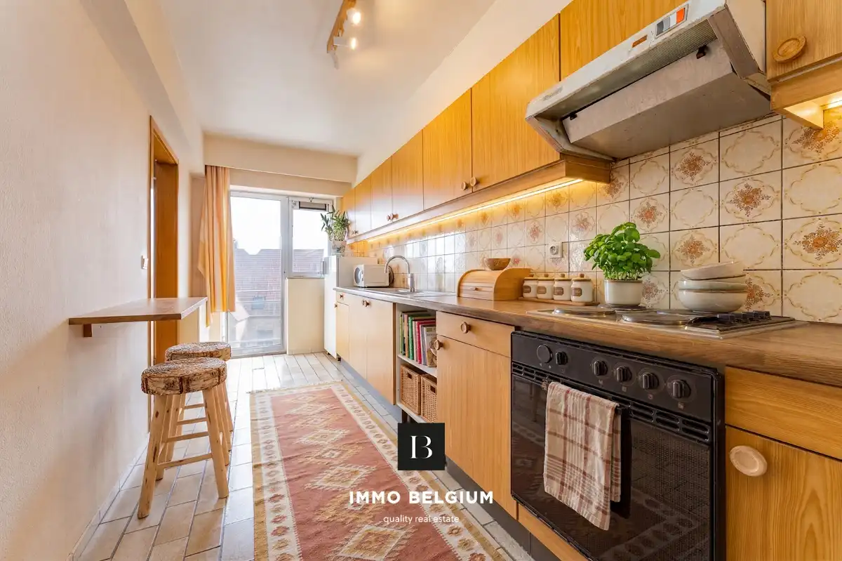 Ruim appartement met garage nabij het centrum foto 5