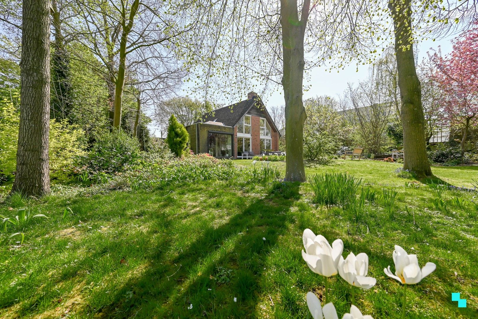 Prachtige villa te koop in Sint-Eloois-Winkel foto 9