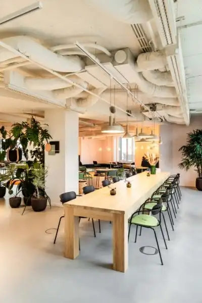 Louizalaan 54, 1050 Elsene foto 5