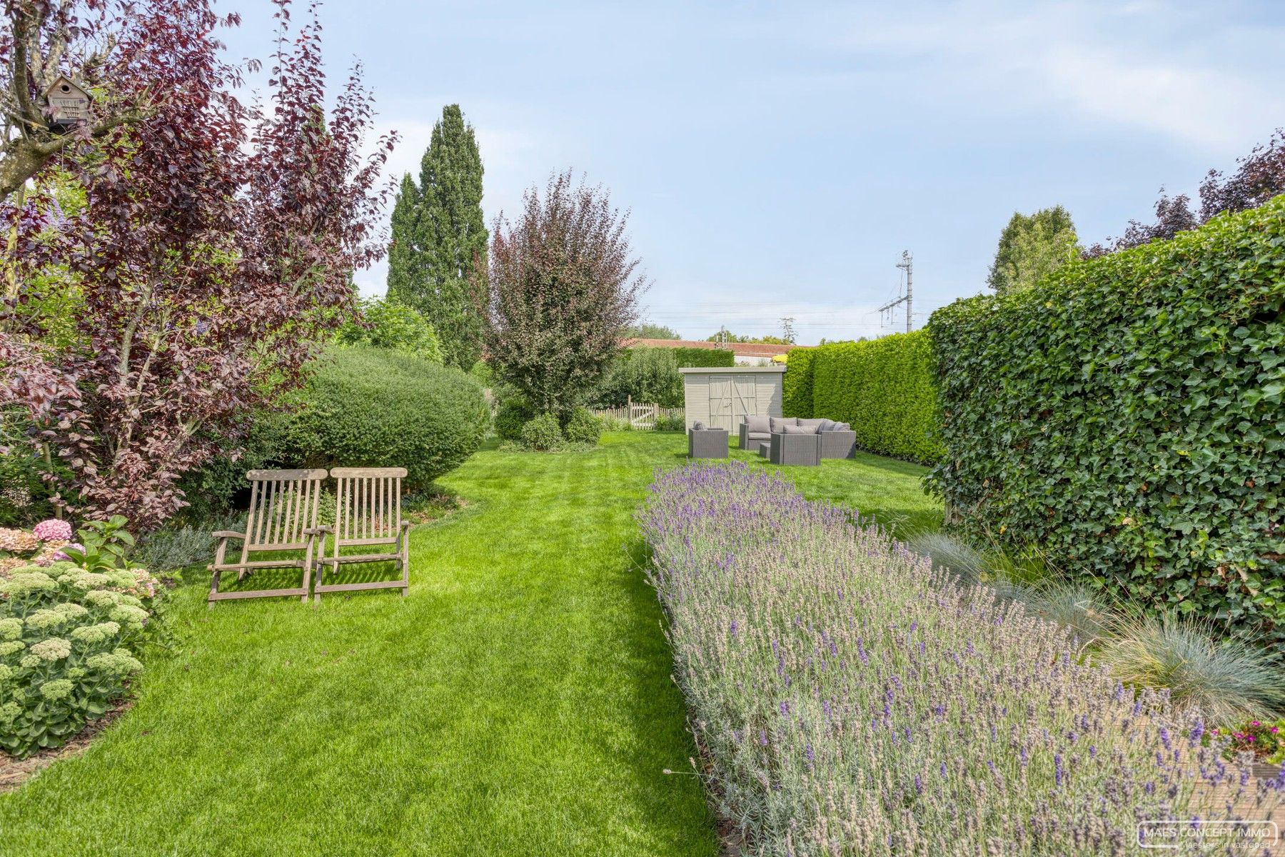 Gezellige halfopen woning met ruime groene tuin foto 12