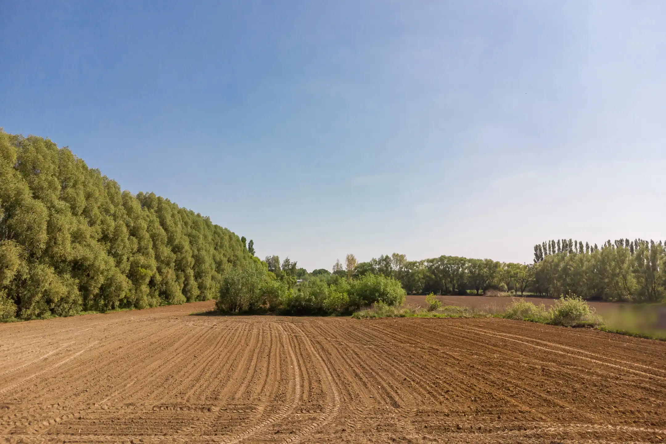 Uitzonderlijke bouwgrond op TOP locatie te Edegem foto 4