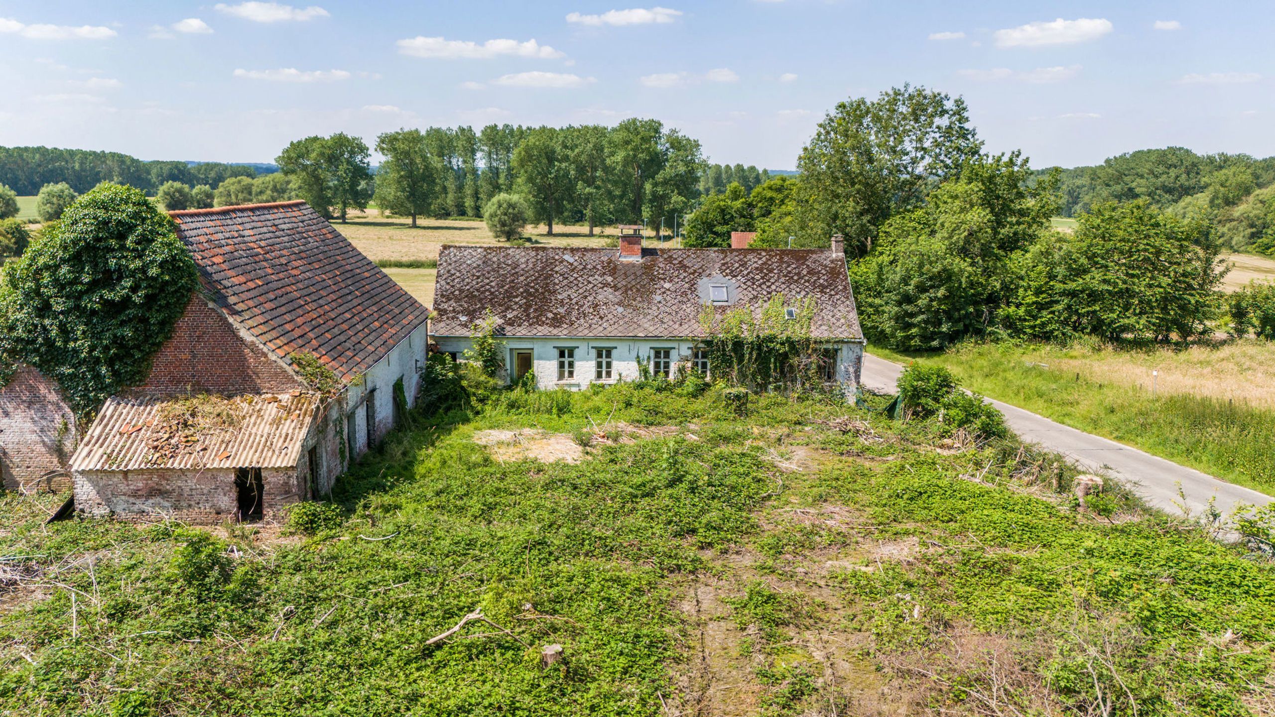 Prachtig gelegen te renovere L hoeve op 3ha 80a foto 6