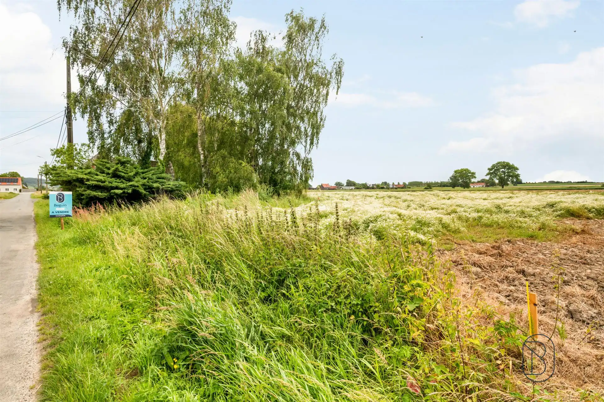 Topgelegen bouwgrond van 2.030 m² te koop in Celles. foto 2