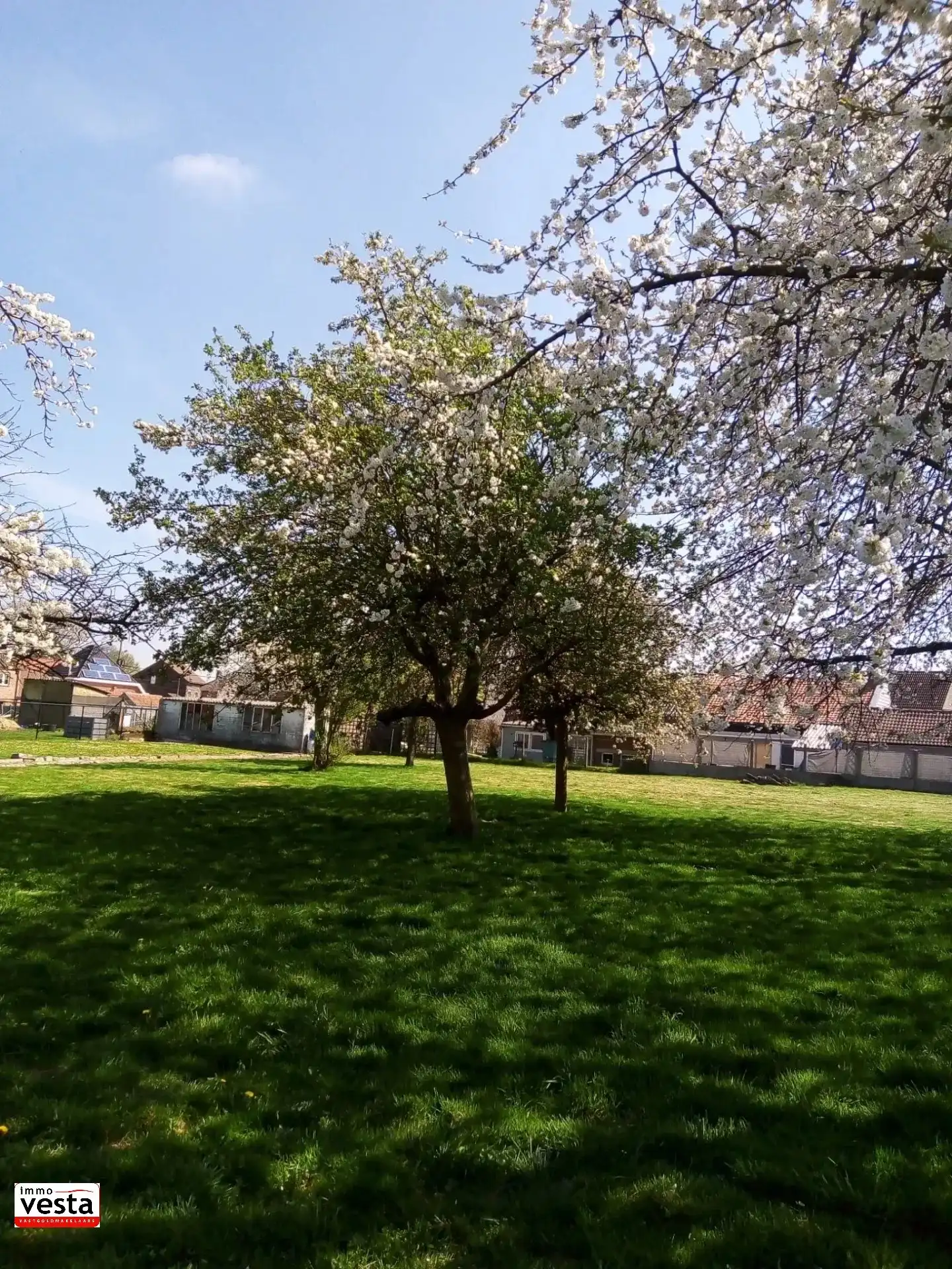 Huis te koop foto 35