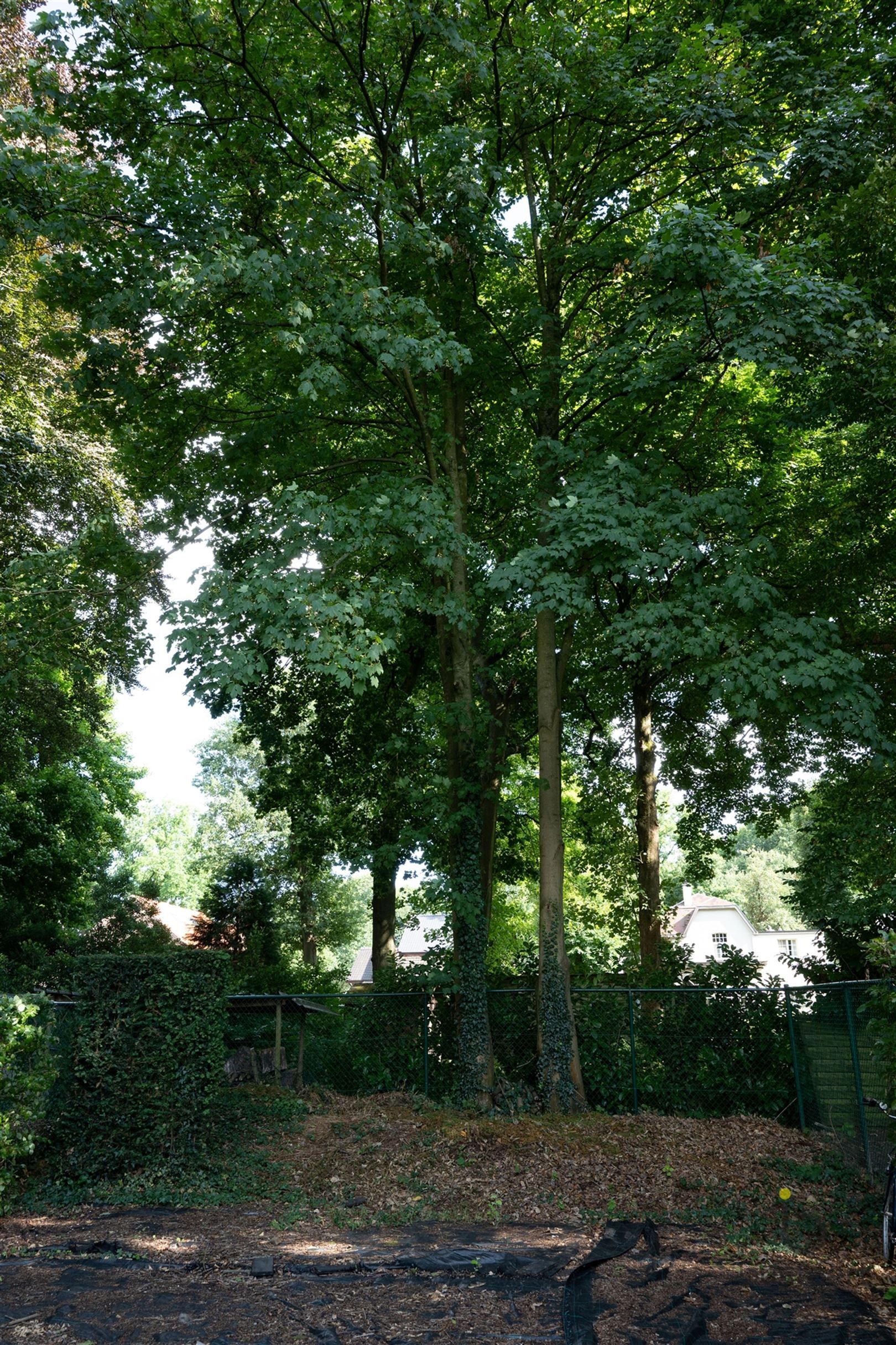 Véél ruimte, terras én tuin: lichtrijk 3 slaapkamer - triplex appartement in hartje Schilde! foto 74