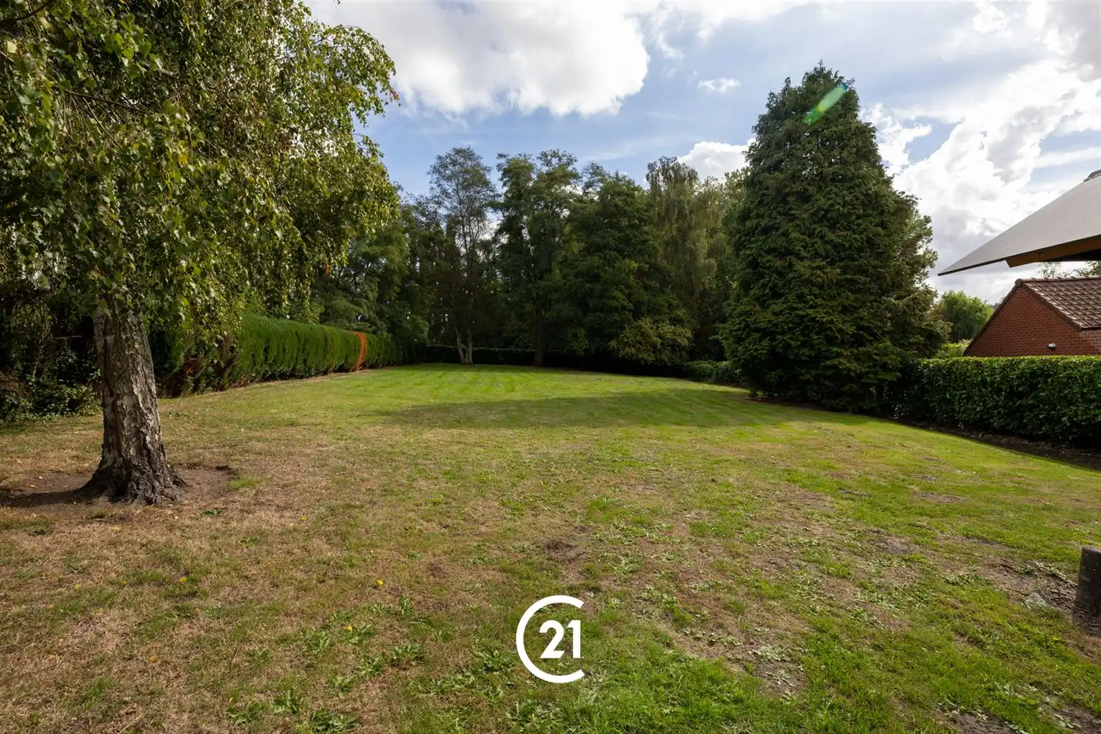 Te renoveren woning op een ruim perceel van 2.220 m² foto 5