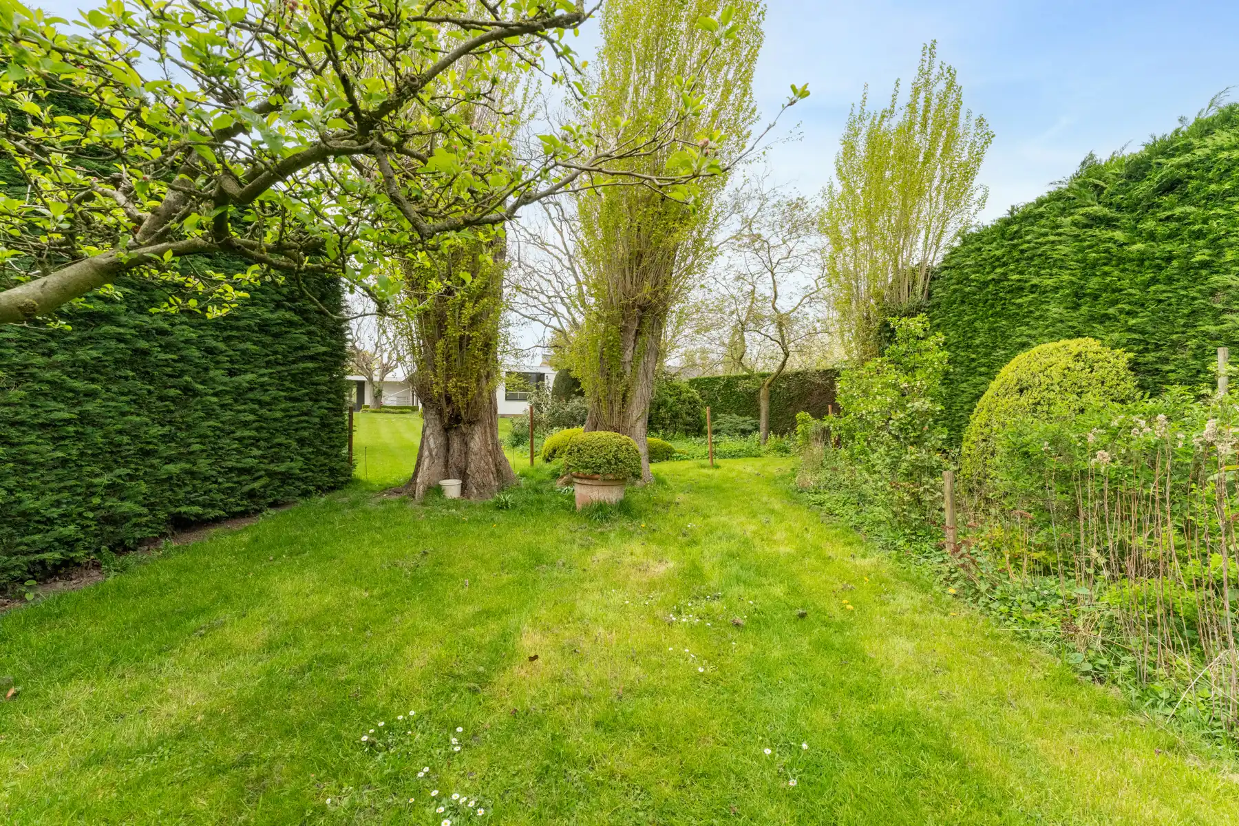 Bouwgrond voor halfopen bebouwing, koppelbouw foto 13