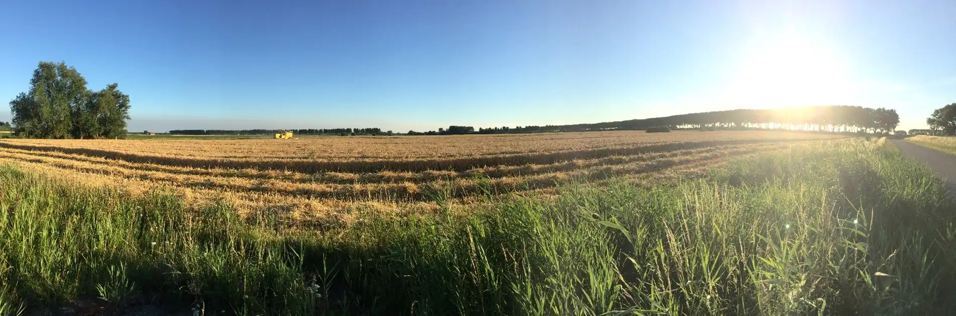 Bouwgrond met ontwerp: Moderne schuur met bijgebouw en zwembad in Terhofstede  foto 4