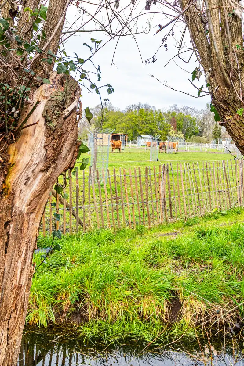 Vrijstaande woning op 1.460 m² in het groen te Heffen foto 36