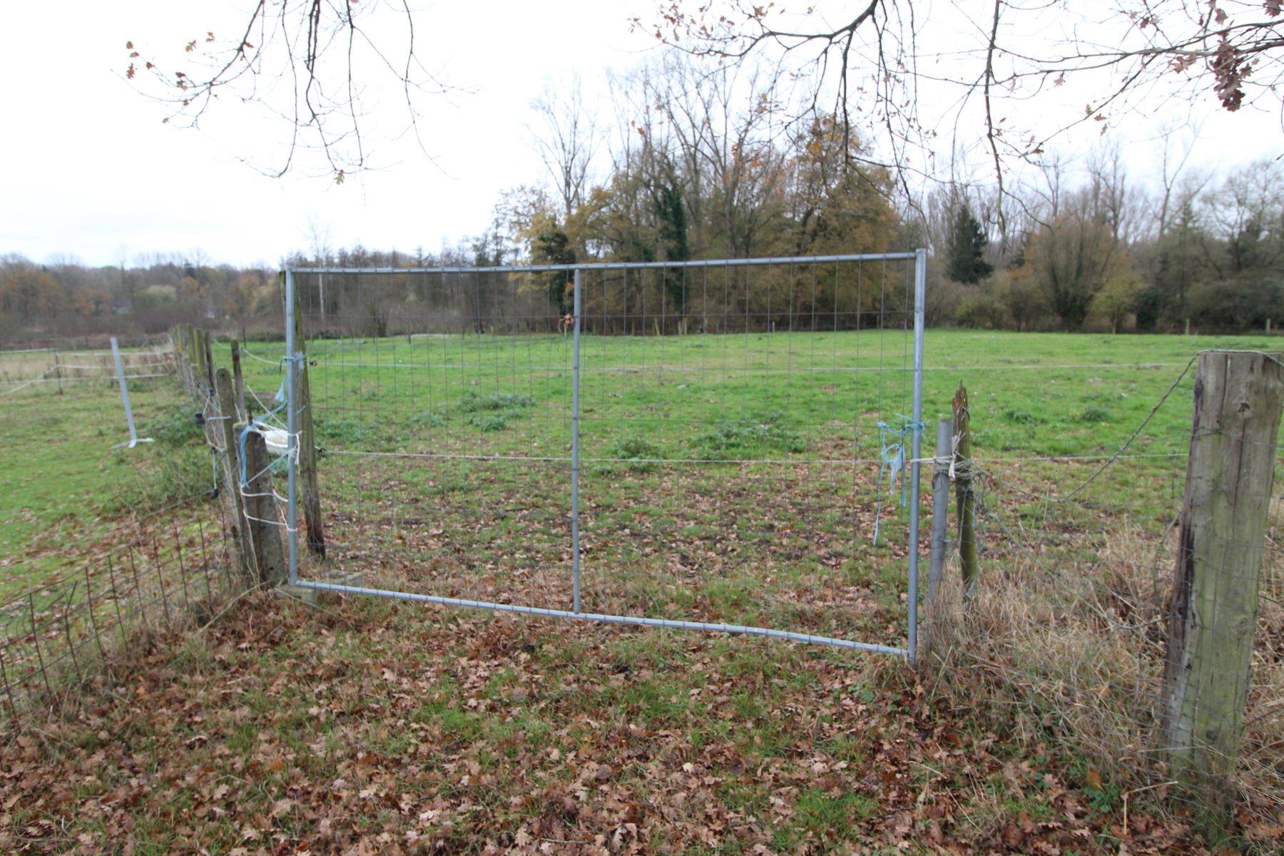 Asbeek: achtergelegen weide  foto 7